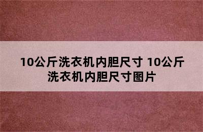 10公斤洗衣机内胆尺寸 10公斤洗衣机内胆尺寸图片